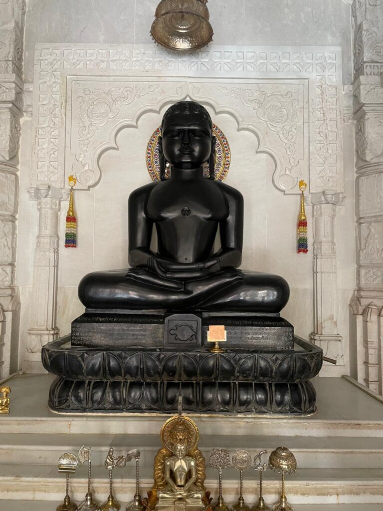 annual-festival-oflord-munisuvratnath-digambar-jain-temple